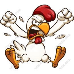 Angry Chicken