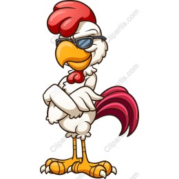 Cool Chicken