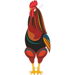 Colorful Rooster