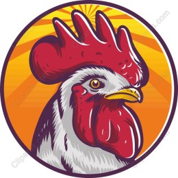 Vibrant Rooster