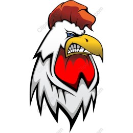 Angry Rooster