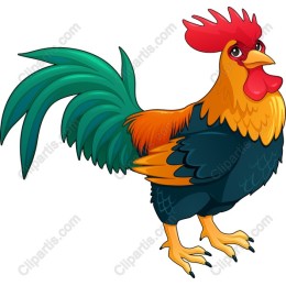Vibrant Rooster