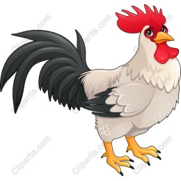 Charming Rooster