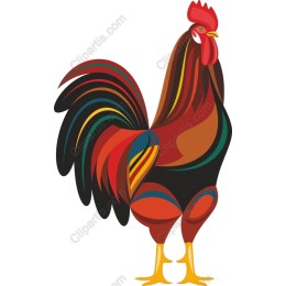 Vibrant Rooster