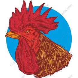 Majestic Rooster