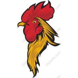 Vibrant Rooster