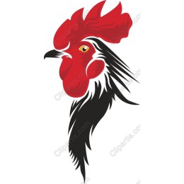 Vibrant Rooster