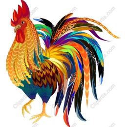 Vibrant Rooster