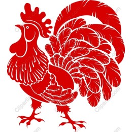 Vibrant Red Rooster
