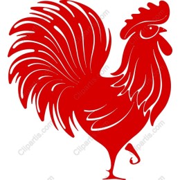 Vibrant Red Rooster