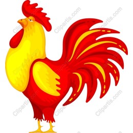 Vibrant Red Rooster