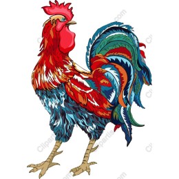 Vibrant Rooster