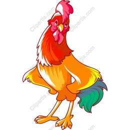 Colorful Rooster