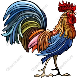 Vibrant Rooster