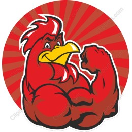 Dynamic Muscular Rooster