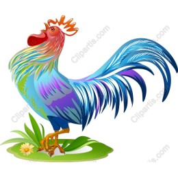 Vibrant Rooster