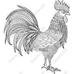 Intricate Rooster