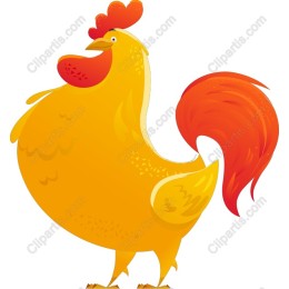 Colorful Rooster