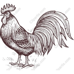 Vintage Rooster