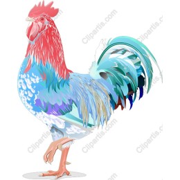 Vibrant Rooster