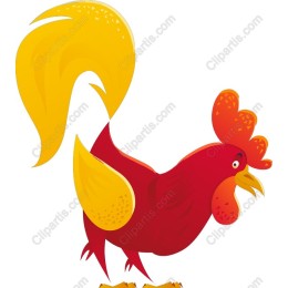 Vibrant Rooster