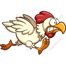 Playful Running Chicken