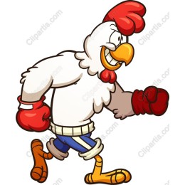Cartoon Chicken Boxer