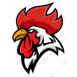 Vibrant Rooster Head