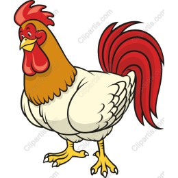 Charming Cartoon Rooster