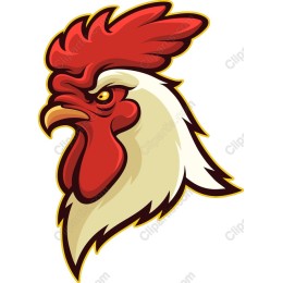Rooster Head