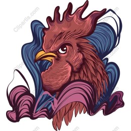 Vibrant Rooster