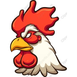 Vibrant Rooster