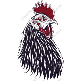 Elegant Rooster