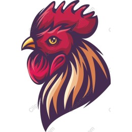 Bold Rooster Head