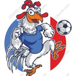 Soccer Chicken