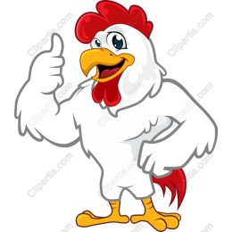 Charming Confident Rooster