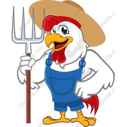 Farmyard Rooster