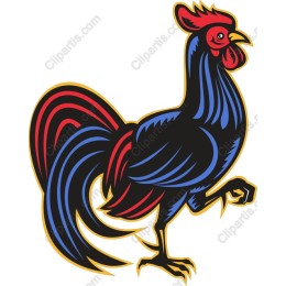 Vibrant Rooster