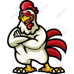 Playful Rooster