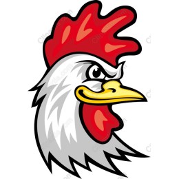 Vibrant Rooster Head