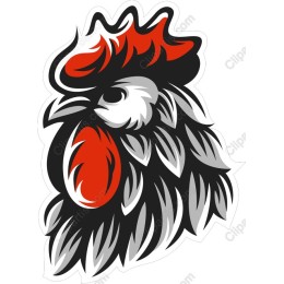 Rooster Head