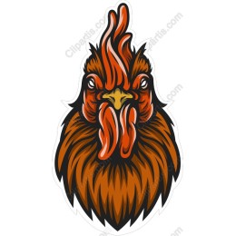 Vibrant Rooster Head
