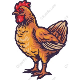 Vibrant Chicken