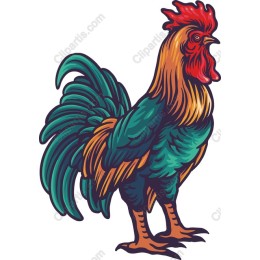 Vibrant Rooster