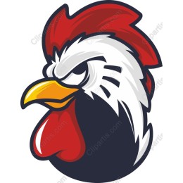 Fierce Rooster Head