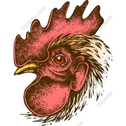 Vintage Rooster Head