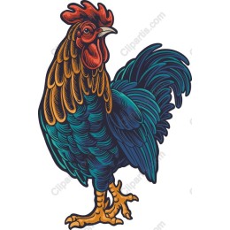 Colorful Rooster