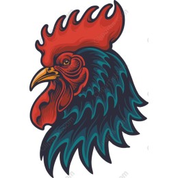 Vibrant Rooster Head