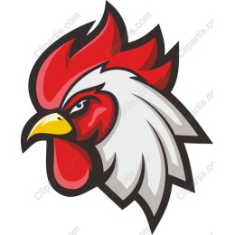 Vibrant Rooster Head