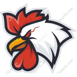 Fierce Rooster Head